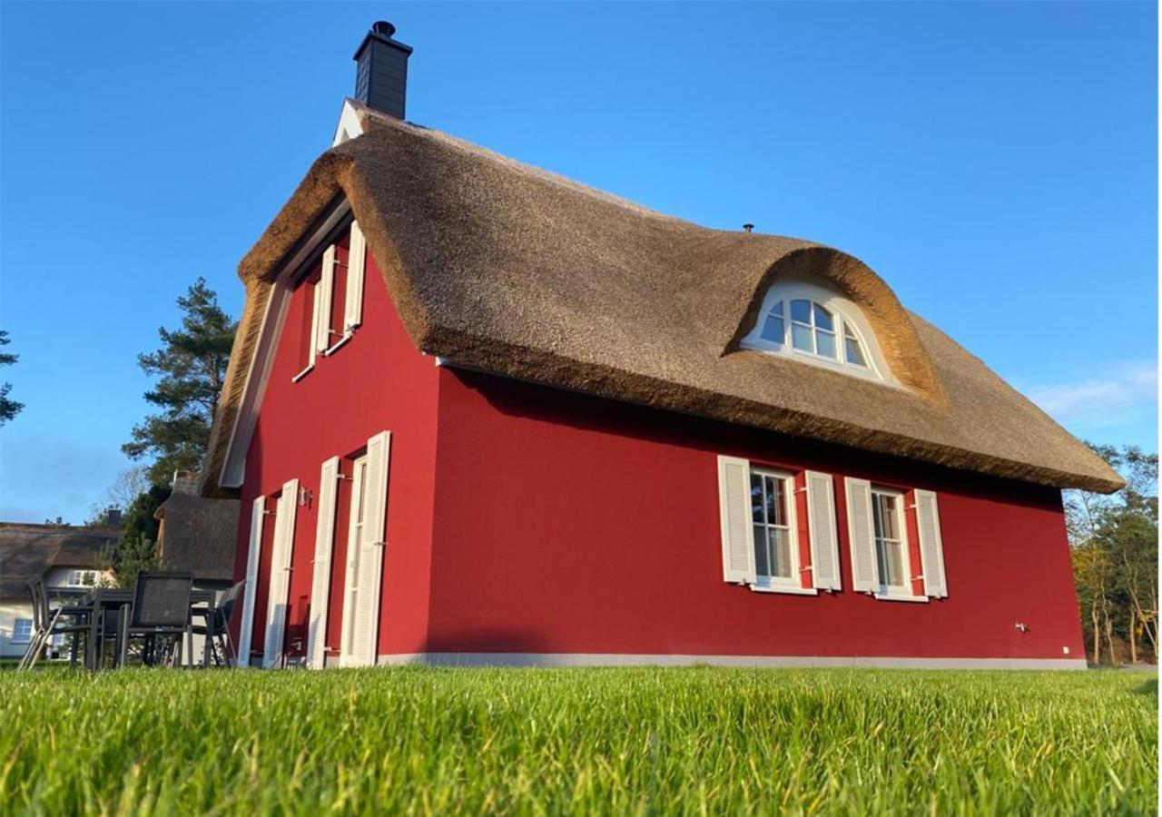 Modernes Reetdach-Ostseeferienhaus Bella Mare, Insel Usedom Mit Sauna, Kamin & Sonnenterrasse Zirchow Ngoại thất bức ảnh