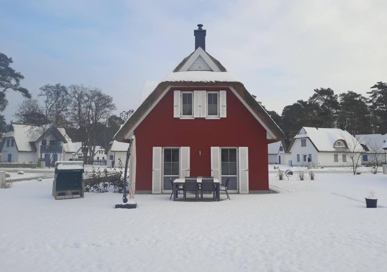 Modernes Reetdach-Ostseeferienhaus Bella Mare, Insel Usedom Mit Sauna, Kamin & Sonnenterrasse Zirchow Ngoại thất bức ảnh